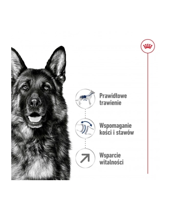 Karma Royal Canin SHN Maxi Adult (15 kg ) nr 2