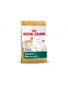 Karma Royal Canin Golden Retriever Adult (12 kg ) - nr 8