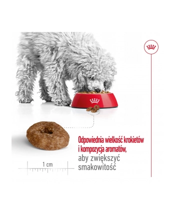 Karma Royal Canin SHN Mini Ageing (3 50 kg ) nr 2