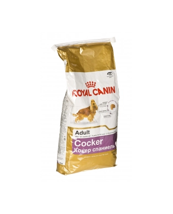 Karma Royal Canin SHN Breed Cocker (12 kg ) nr 1