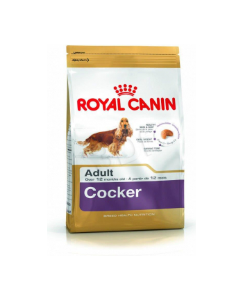 Karma dla psa Royal Canin BHN Cocker Ad 3 kg