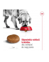 Karma Royal Canin SHN Maxi Adult (15 kg ) - nr 14