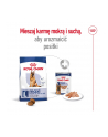 Karma Royal Canin SHN Maxi Adult (15 kg ) - nr 4