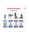 Karma Royal Canin SHN Maxi Adult (15 kg ) - nr 8