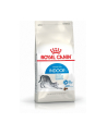 Karma Royal Canin FHN Indoor (0 40 kg ) - nr 3