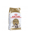 Karma Royal Canin FBN Maine Coon (10 kg ) - nr 2