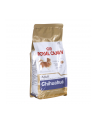 Karma Royal Canin SHN Breed Chihuahua (0 50 kg ) - nr 2