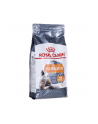 Karma Royal Canin FCN Hair & Skin Care (2 kg ) - nr 2