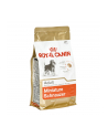 Karma Royal Canin SHN Breed Schnauzer (3 kg ) - nr 3