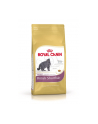 Karma Royal Canin FBN Kit Brit Shorth (0 40 kg ) - nr 1