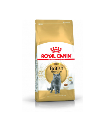 Karma Royal Canin FBN British Shorth (10 kg )