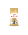 Karma Royal Canin FBN British Shorth (10 kg ) - nr 6