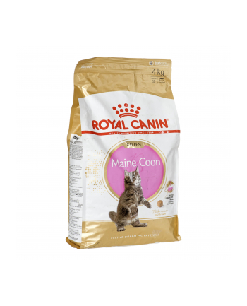 Karma Royal Canin FBN Kitten Maine Coon (4 kg )