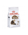 Karma Royal Canin FHN Ageing (0 40 kg ) - nr 2