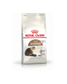 Karma Royal Canin FHN Ageing (0 40 kg ) - nr 3