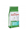 Karma Royal Canin SHN Mini Junior (2 kg ) - nr 2