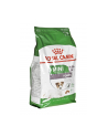 Karma Royal Canin SHN Mini Ageing (3 50 kg ) - nr 2