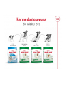 Karma Royal Canin SHN Mini Ageing (3 50 kg ) - nr 5