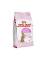 Karma Royal Canin FHN Kitten Sterilised (2 kg ) - nr 2