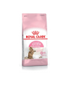 Karma Royal Canin FHN Kitten Sterilised (2 kg ) - nr 4