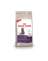 Karma Royal Canin FHN Sterilised (4 kg ) - nr 1