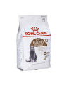 Karma Royal Canin FHN Sterilised (4 kg ) - nr 2