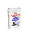 Karma Royal Canin FHN Sterilised (10 kg ) - nr 2