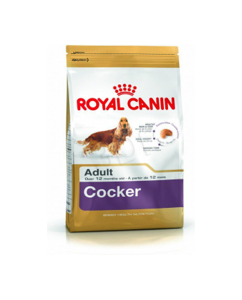 Karma Royal Canin SHN Breed Cocker (12 kg )