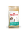 Karma Royal Canin FBN Kitten Maine Coon (2 kg ) - nr 1