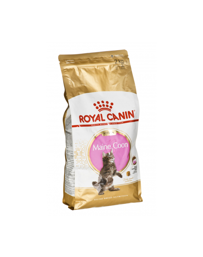 Karma Royal Canin FBN Kitten Maine Coon (2 kg ) główny