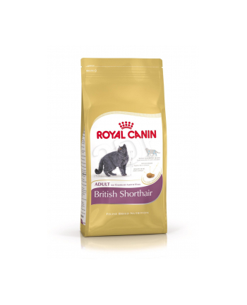 Karma Royal Canin FBN Kit Brit Shorth (2 kg )