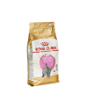 Karma Royal Canin FBN Kit Brit Shorth (2 kg ) - nr 2