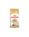 Karma Royal Canin FBN Ragdoll (2 kg ) - nr 4