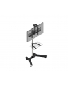 Uchwyt na wózku do monitora Edbak TR5 (mobilny; 37  - 60 ; max. 80kg) - nr 11