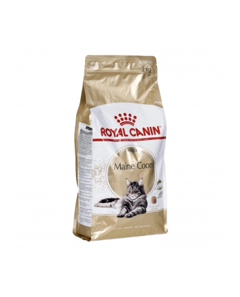 Karma Royal Canin FBN Maine Coon (2 kg ) nr 1