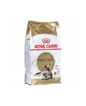 Karma Royal Canin FBN Maine Coon (10 kg ) nr 1
