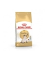 Karma Royal Canin FBN Siamese (2 kg ) - nr 4