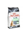 Karma Royal Canin FCN Digestive Care (4 kg ) - nr 2