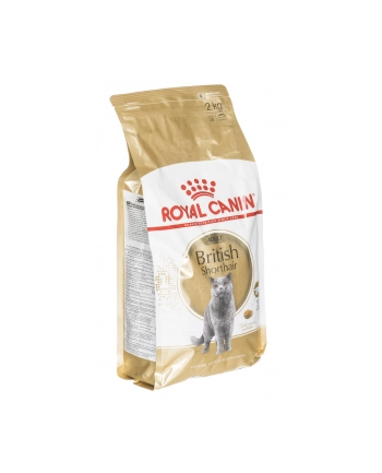 Karma Royal Canin FBN British Shorthair (2 kg ) nr 1