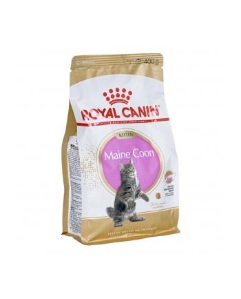 Karma Royal Canin FBN Kitten Maine Coon (0 40 kg ) nr 1