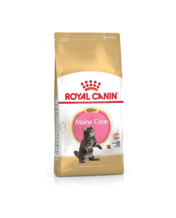 Karma Royal Canin FBN Kitten Maine Coon (0 40 kg ) nr 2