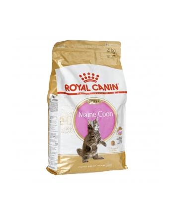 Karma Royal Canin FBN Kitten Maine Coon (4 kg ) nr 1