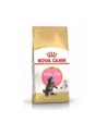 Karma Royal Canin FBN Kitten Maine Coon (4 kg ) - nr 4