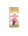 Karma Royal Canin FBN Kitten Maine Coon (4 kg ) - nr 5