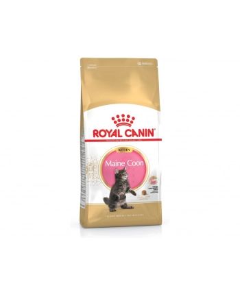 Karma Royal Canin FBN Kitten Maine Coon (4 kg ) nr 2
