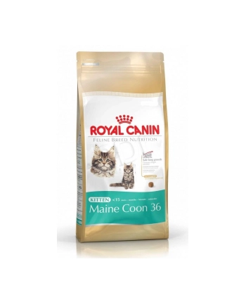 Karma Royal Canin FBN Kitten Maine Coon (2 kg ) nr 2