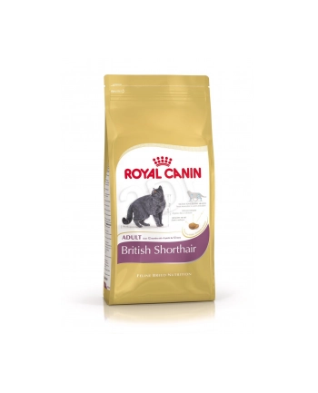 Karma Royal Canin FBN Kit Brit Shorth (2 kg ) nr 2