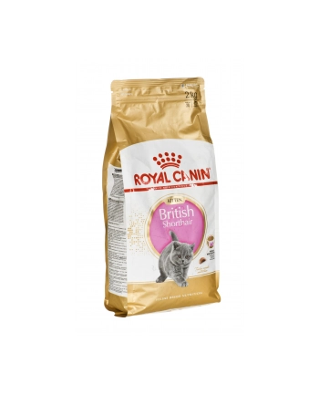 Karma Royal Canin FBN Kit Brit Shorth (2 kg ) nr 1