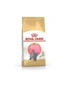 Karma Royal Canin FBN Kit Brit Shorth (2 kg ) - nr 4