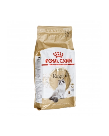 Karma Royal Canin FBN Ragdoll (2 kg ) nr 1